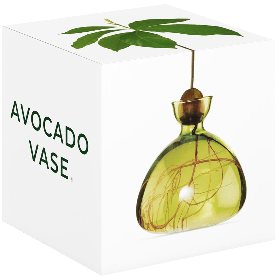 AVOCADO VASE - DYKE & DEAN