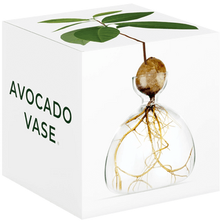 AVOCADO VASE - DYKE & DEAN