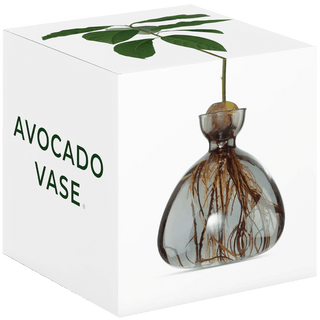 AVOCADO VASE - DYKE & DEAN