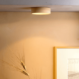 CONCRETE CEILING MOUNTED SPOT LIGHT - DYKE & DEAN