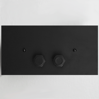 INDUSTRIALIS TOILET FLUSH PLATE - DYKE & DEAN